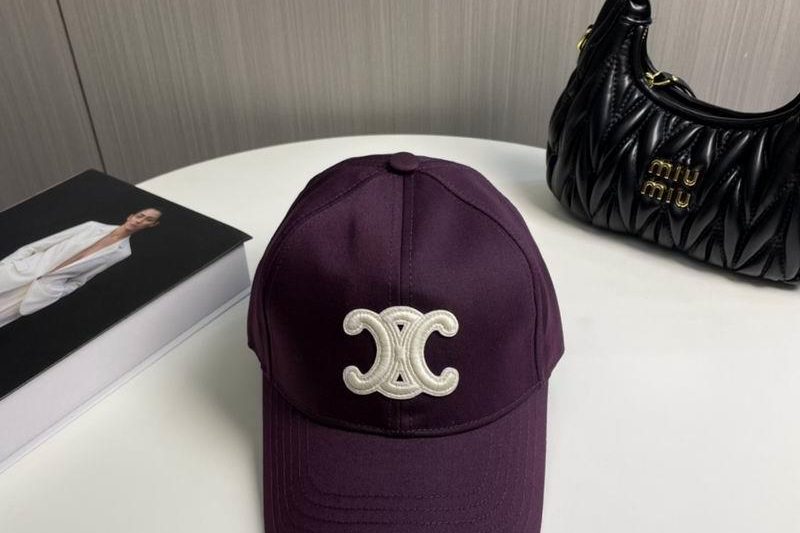 Replica Celine cap dx84