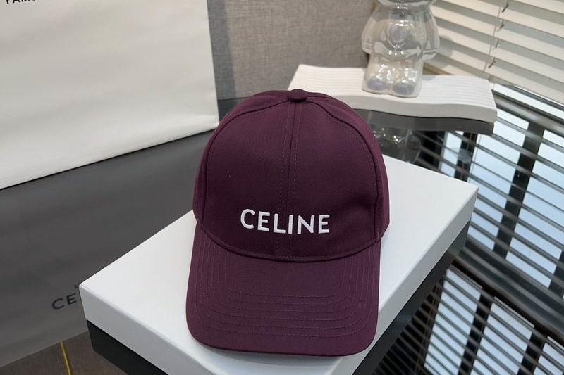 Replica Celine cap dx80