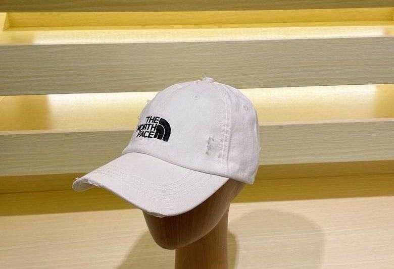 Replica Gucci x The North Face Cap dxn08