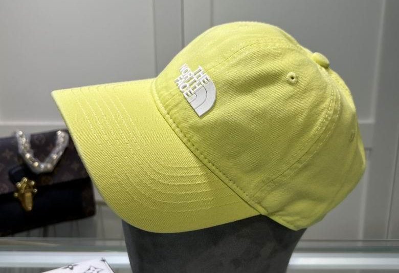 Replica Gucci x The North Face Cap dxn07
