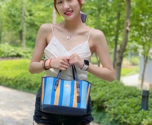 Replica Coach Bags C408 25X19X12cm AZ