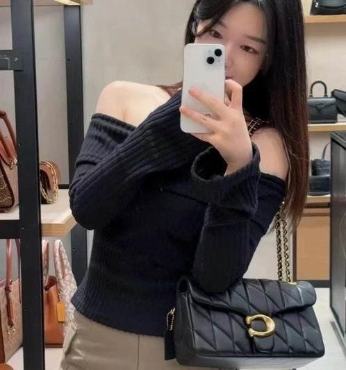 Replica Coach Bags 150 26X18X4cm AZ 2colour