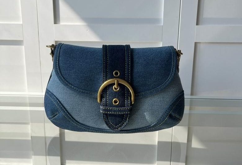 Replica Coach Bags CR737 26X18cm AZ 2colour