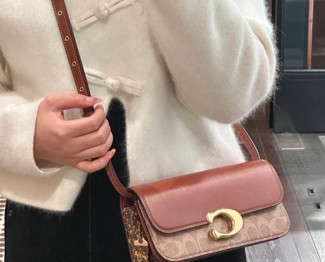Replica Coach Bags 23X10X6cm 041015 AZ