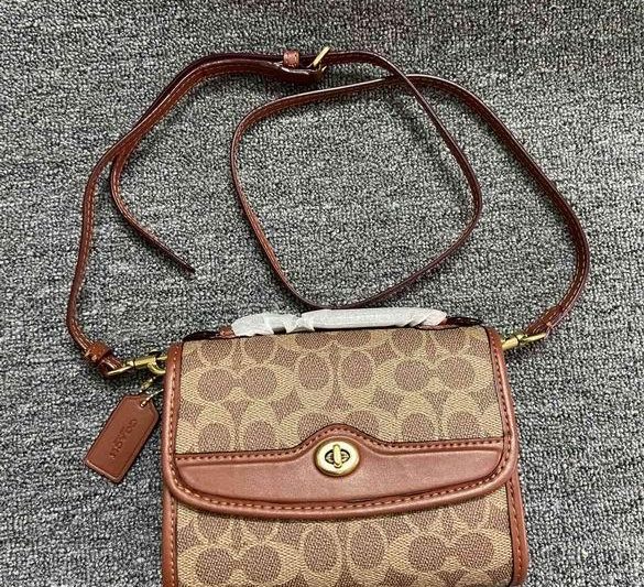 Replica Coach Bags BHC4204 18X13X5