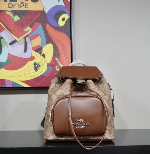 Replica Coach Bags 042801 AZ 3colour