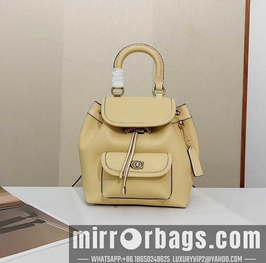 Replica Coach Bags Coach CH789 21x23x12cm zy