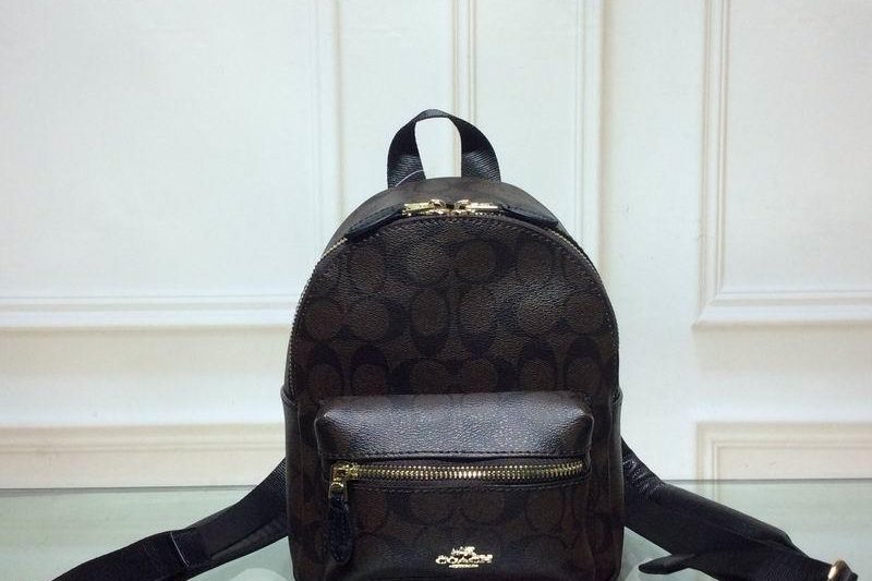Replica Coach Bags 20909 18x22x10cm