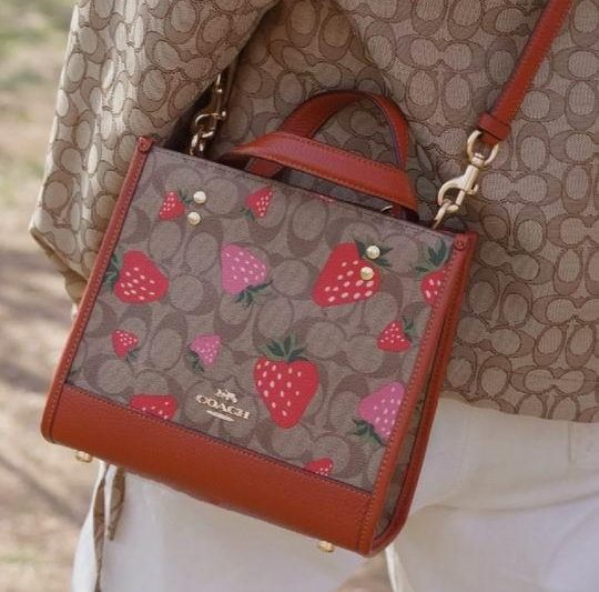 Replica Coach Bags CH324 22X21X12cm AZ