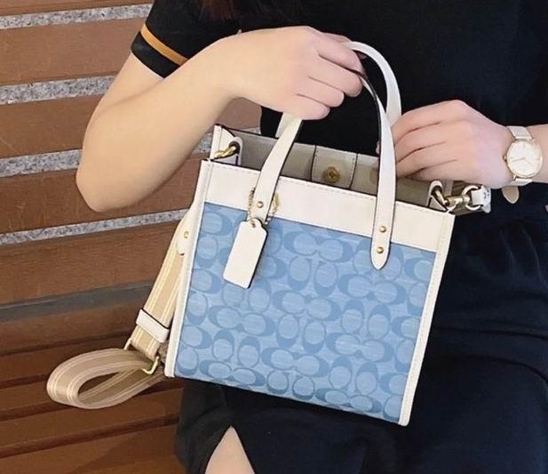 Replica Coach Bags 22X21X12cm 041017 AZ