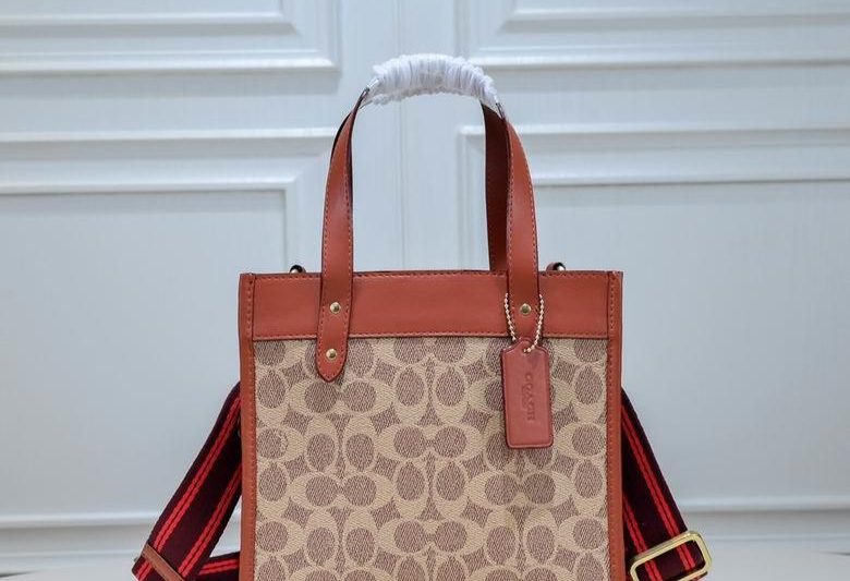 Replica Coach Bags C3866 22X12X21cm XM