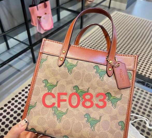 Replica Coach Bags CF083 22X21X12cm JH
