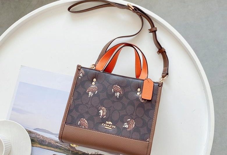 Replica Coach Bags CC769 20X22cm JH