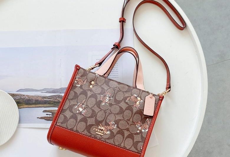 Replica Coach Bags CC424 20X22cm JH
