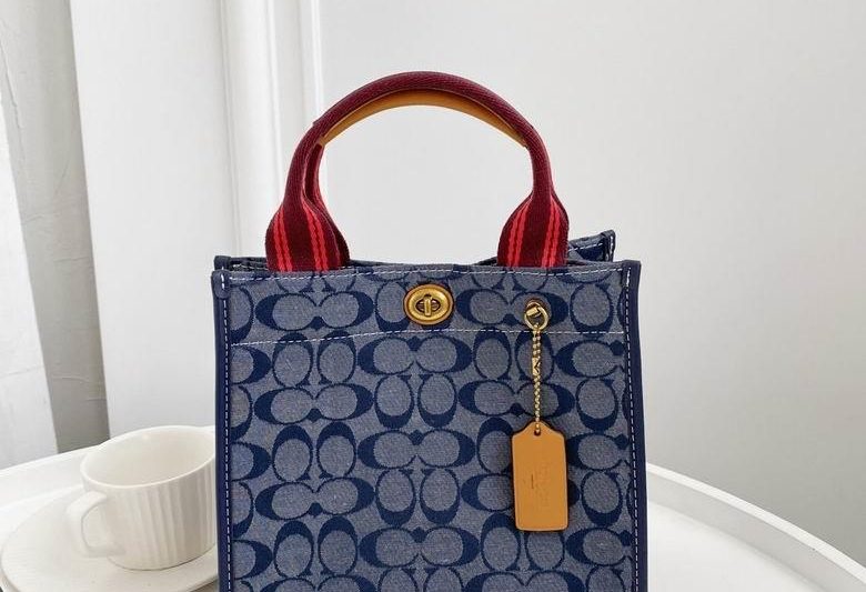 Replica Coach Bags BH3663 22X21X12