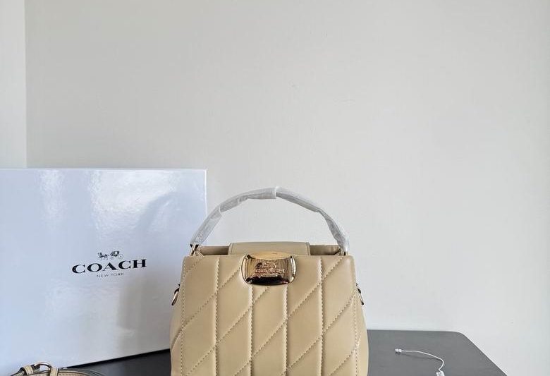 Replica Coach Bags 21X14.5X7.5cm 030904 XMY
