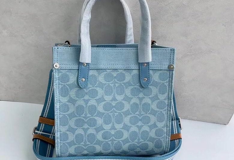 Replica Coach Bags CJ853 22X21X12cm JH
