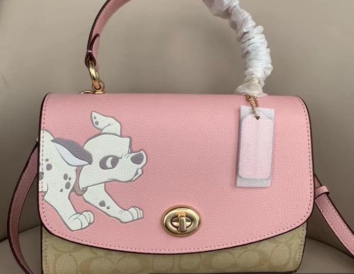 Replica Coach Bags 91128 25X16cm DN