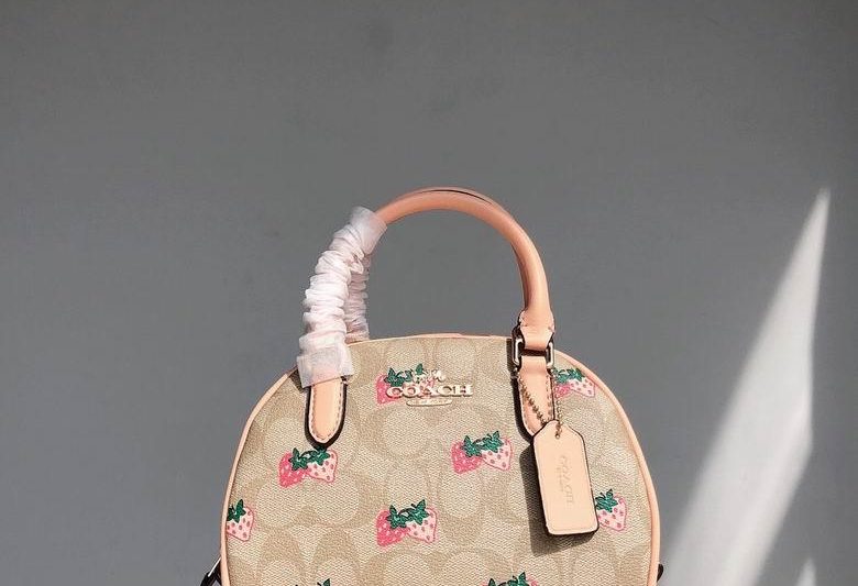 Replica Coach Bags CB596  20.5×12.5×15.5cm