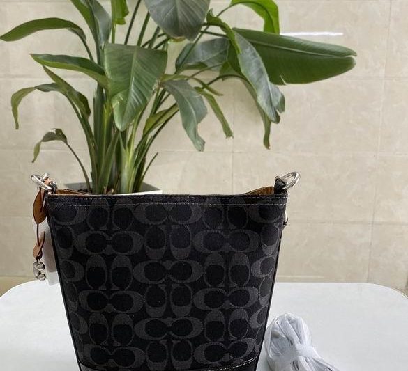 Replica Coach Bags CT132 15.5X19.5X8cm AZ 2colour