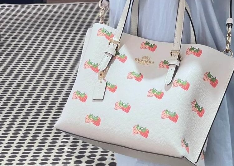Replica Coach Bags CB600 25X19X12cm AZ
