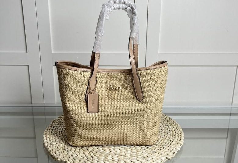 Replica Coach Bags 23X20.5X10.5cm 071013 AZ