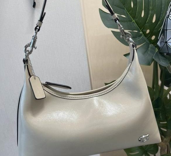 Replica Coach Bags 30X22X12cm 060502 AZ 3colour