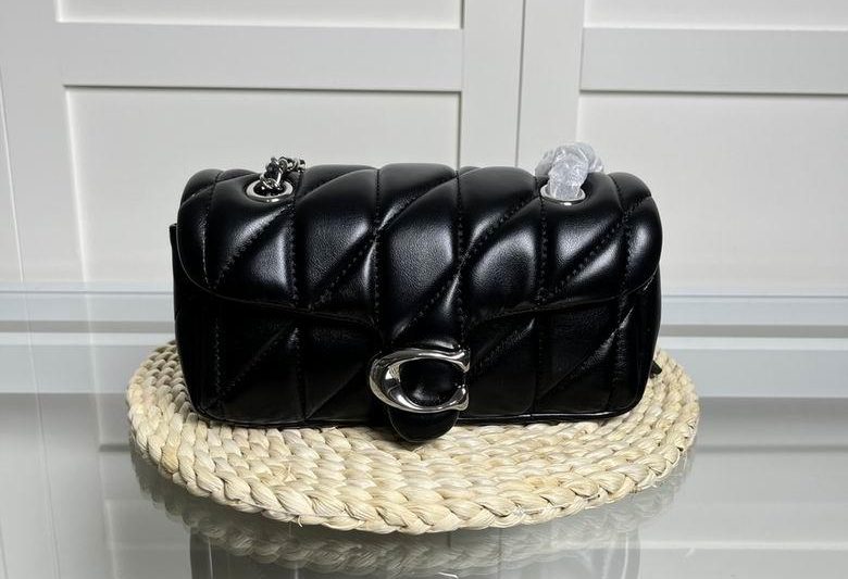Replica Coach Bags 20X11X7cm 030102 JH 4colour