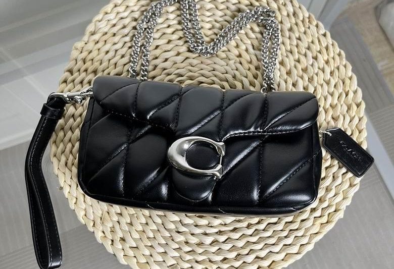 Replica Coach Bags 18.5X10X3.5cm 030101 JH 2colour