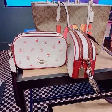 Replica Coach Bags BH2835 24X15X8