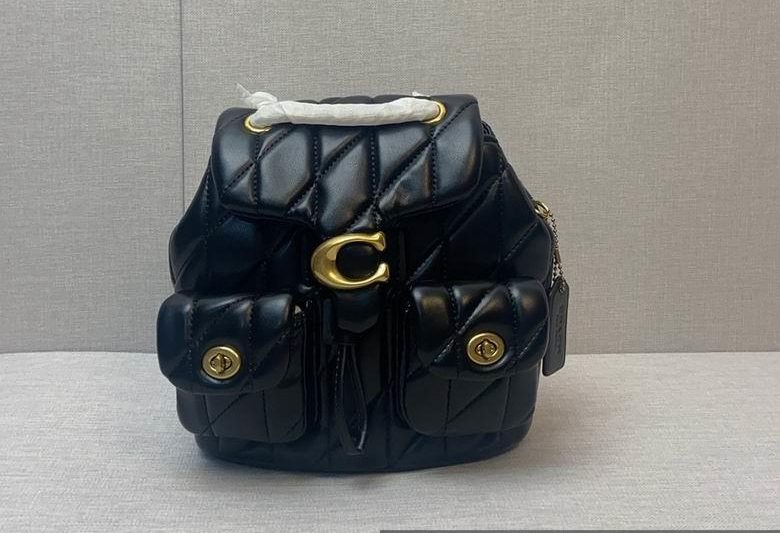 Replica Coach Bags CU076 21X10X20cm JH