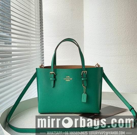 Replica Coach Bags Coach C4250 25x19x110cm zy2