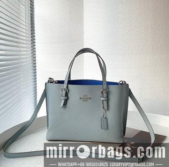 Replica Coach Bags Coach C4250 25x19x110cm zy1