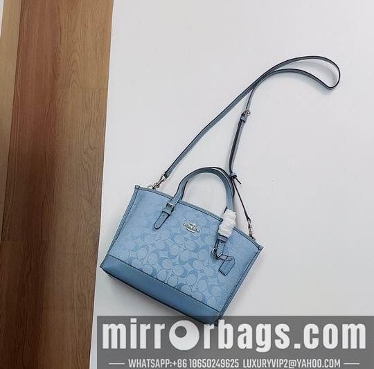 Replica Coach Bags CH228 25X19X11cm AZ 3colour