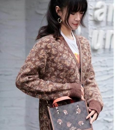 Replica Coach Bags cc769 22X20X11cm AZ