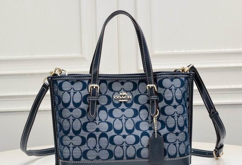 Replica Coach Bags CH228 25X19X12cm XM