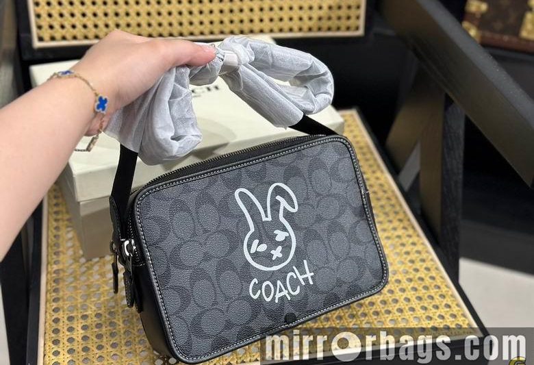 Replica Coach Bags 24X17cm 081710 DN