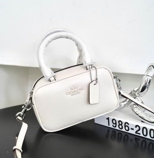 Replica Coach Bags 062302 AZ 4colour