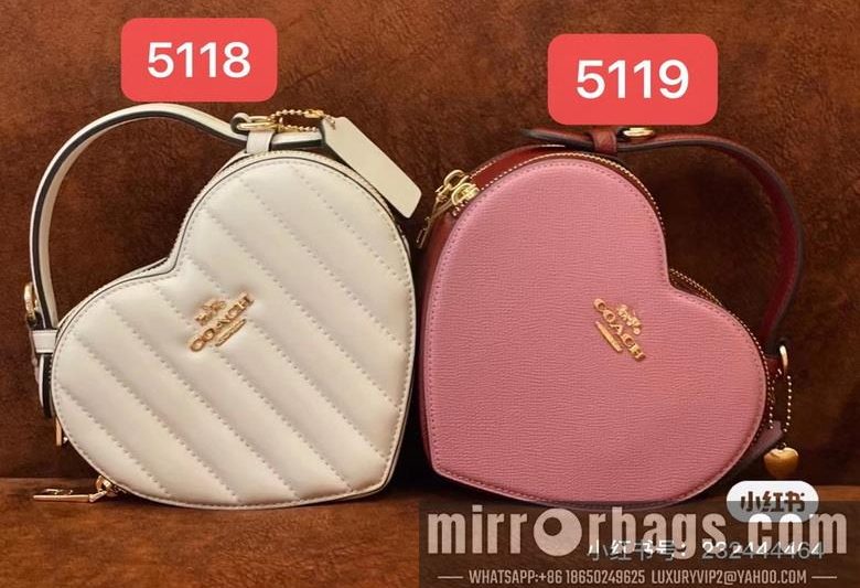 Replica Coach Bags 5118  5119 C8040 JH