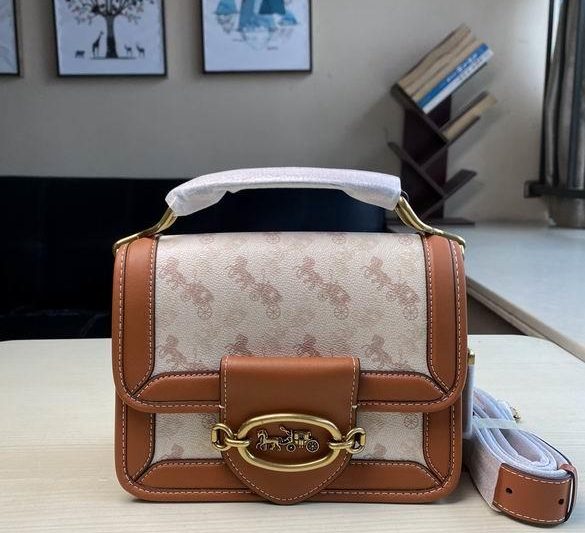 Replica Coach Bags C8451  22x16x10cm