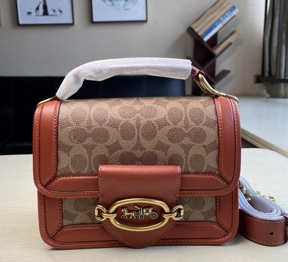 Replica Coach Bags C8450  22x16x10cm