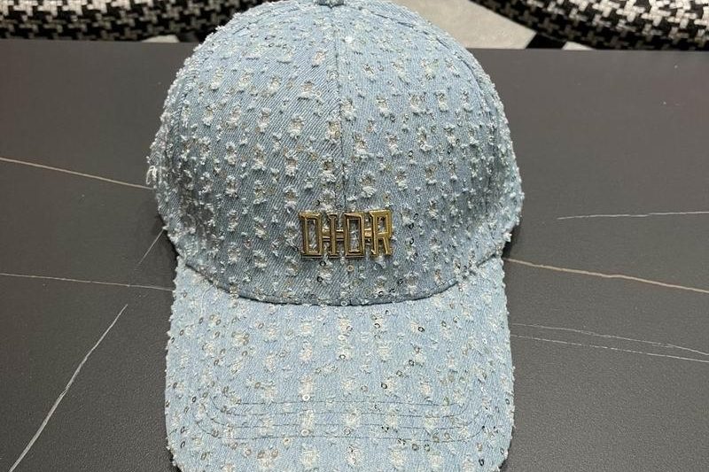 Replica Dior Hat 041401