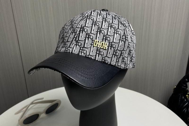 Replica Dior Hat 040202