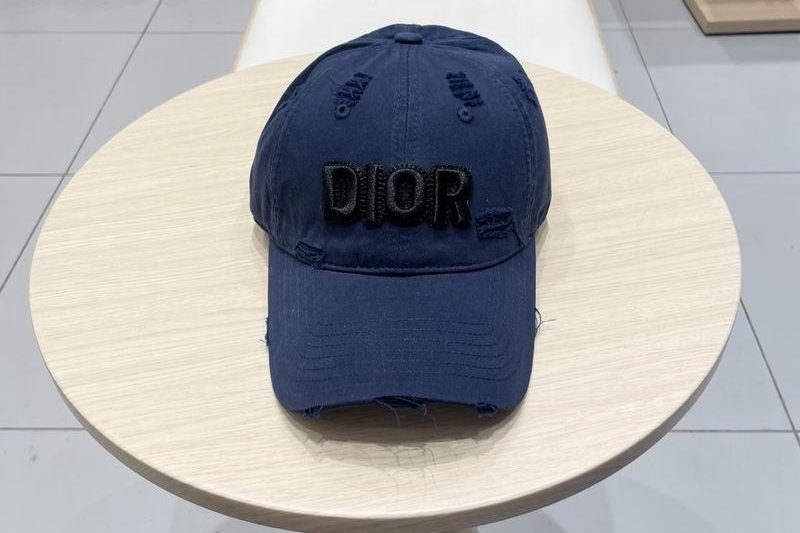 Replica Dior Hat 040201