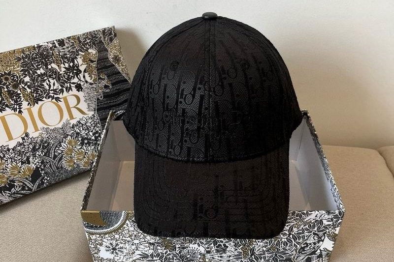 Replica Dior Hat dx17
