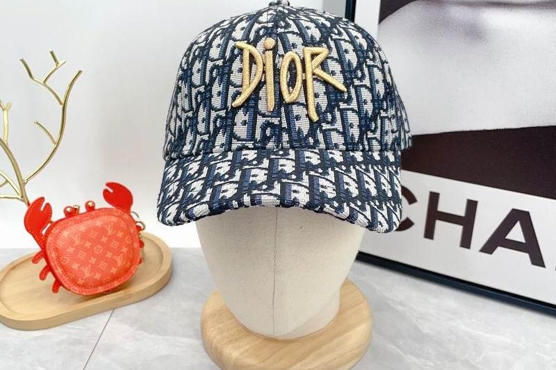 Replica Dior Hat dx08