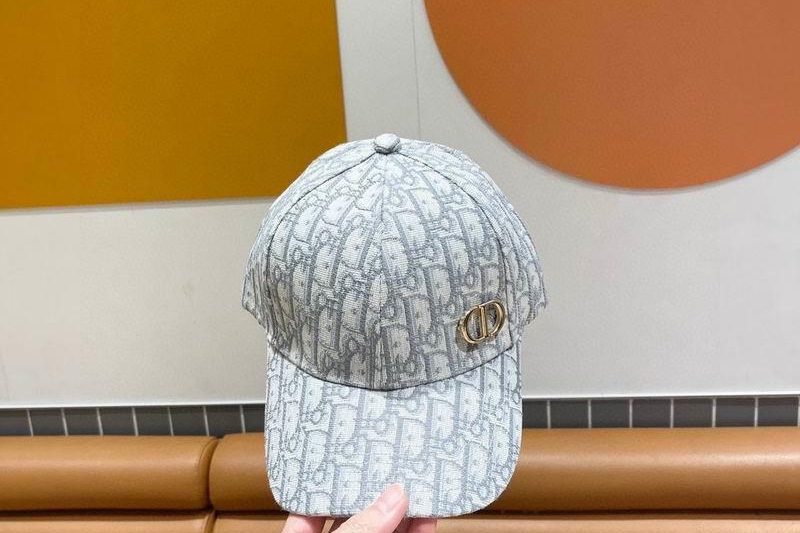 Replica Dior Hat 020801