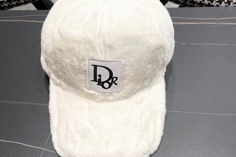 Replica Dior Hat 010601