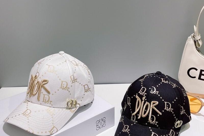 Replica Dior Hat 010201