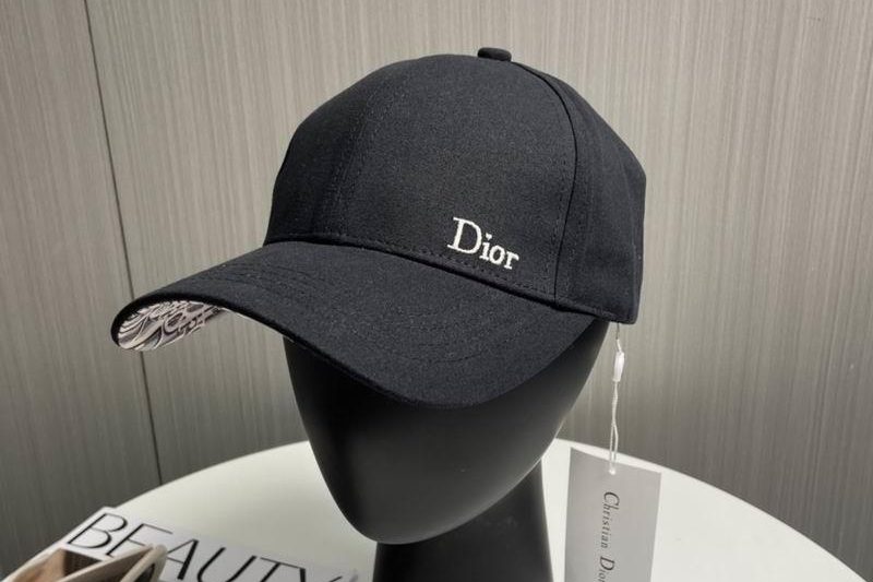 Replica Dior cap 101101